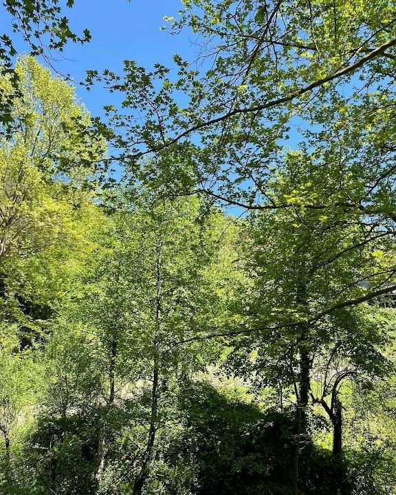 Fotoğraf 45