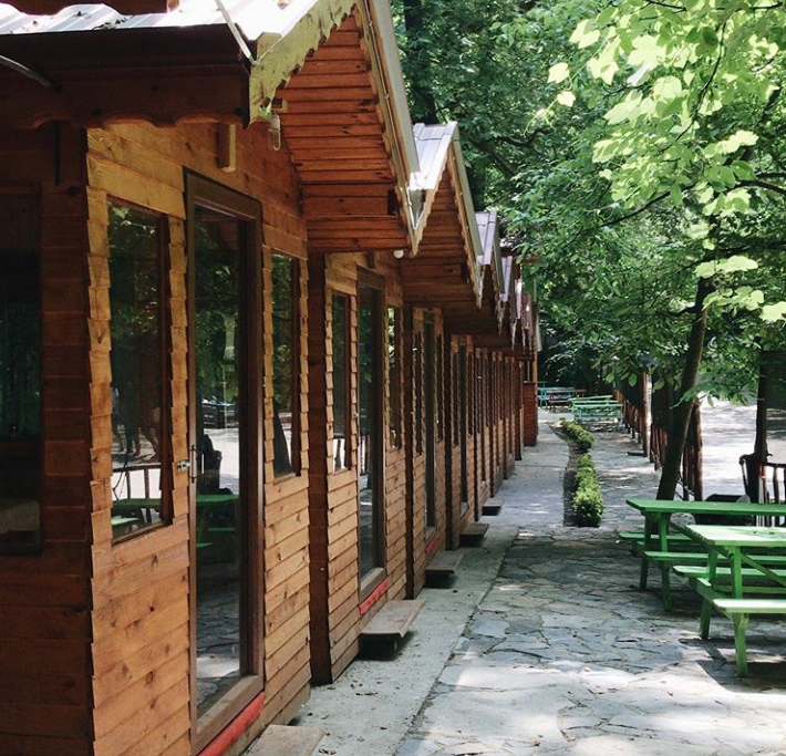 Fotoğraf 48