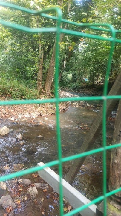 Fotoğraf 26