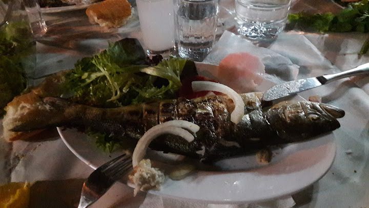 Fotoğraf 16