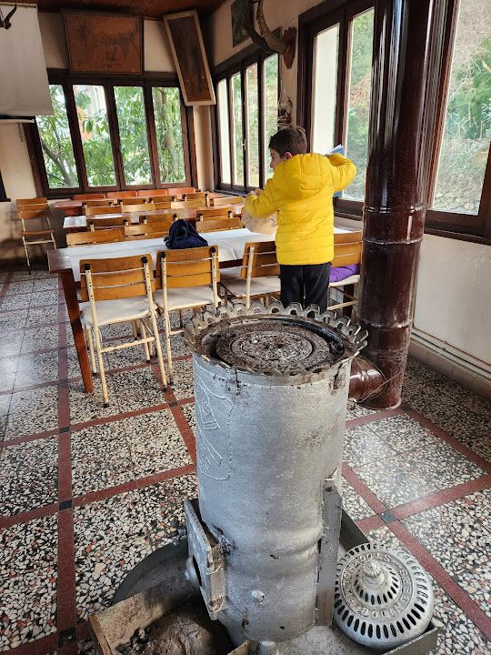 Fotoğraf 17