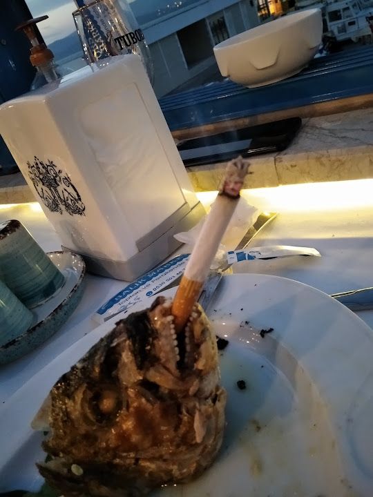 Fotoğraf 27