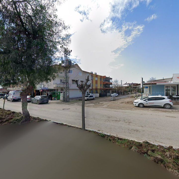 Fotoğraf 4