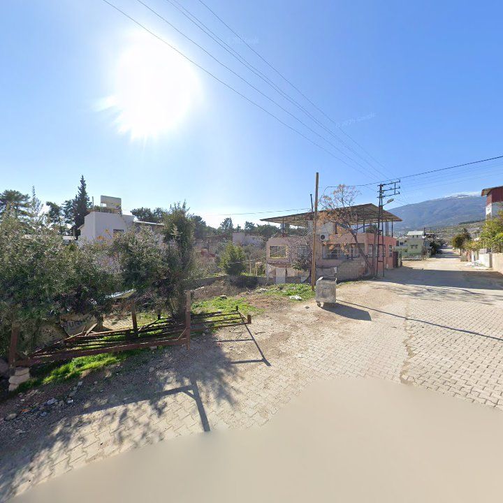 Fotoğraf 2