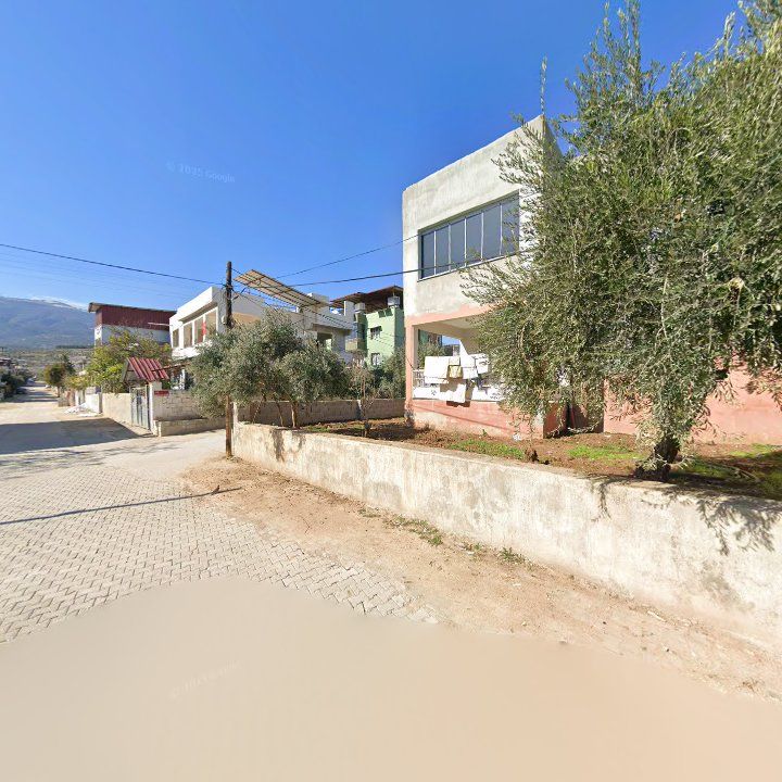Fotoğraf 3