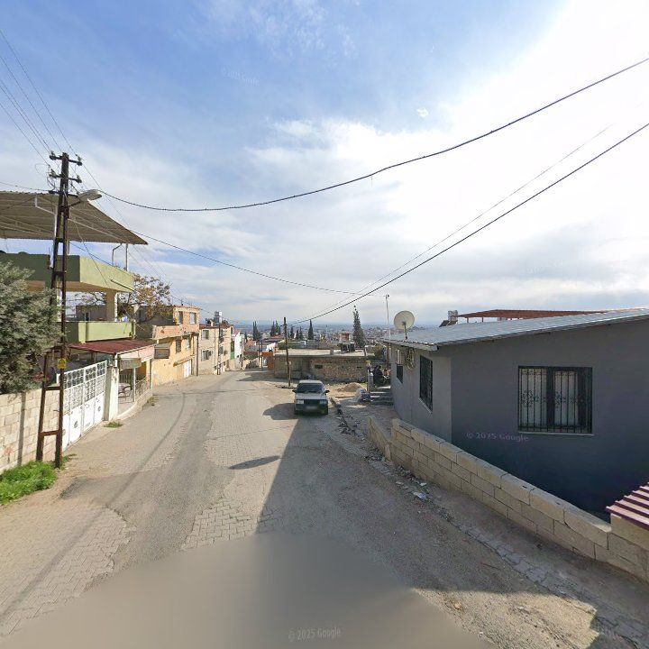 Fotoğraf 3