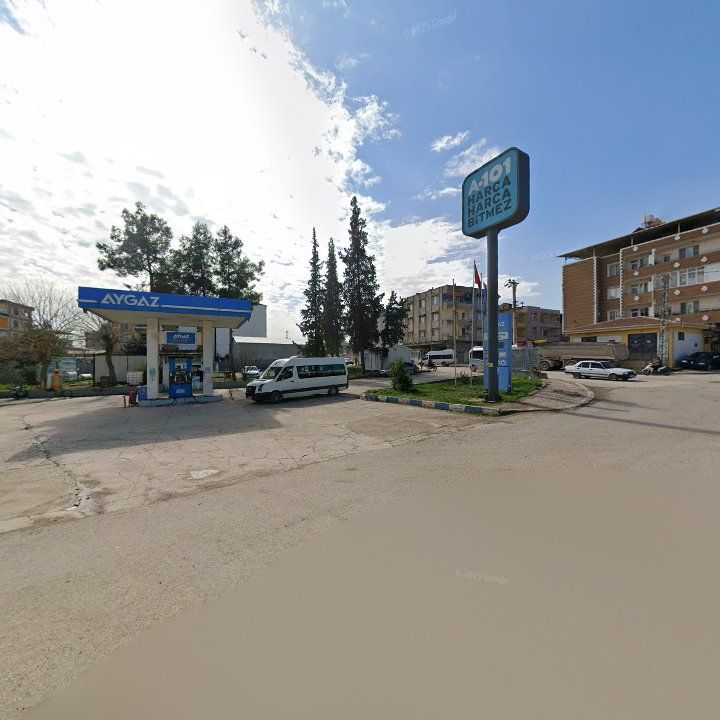 Fotoğraf 3