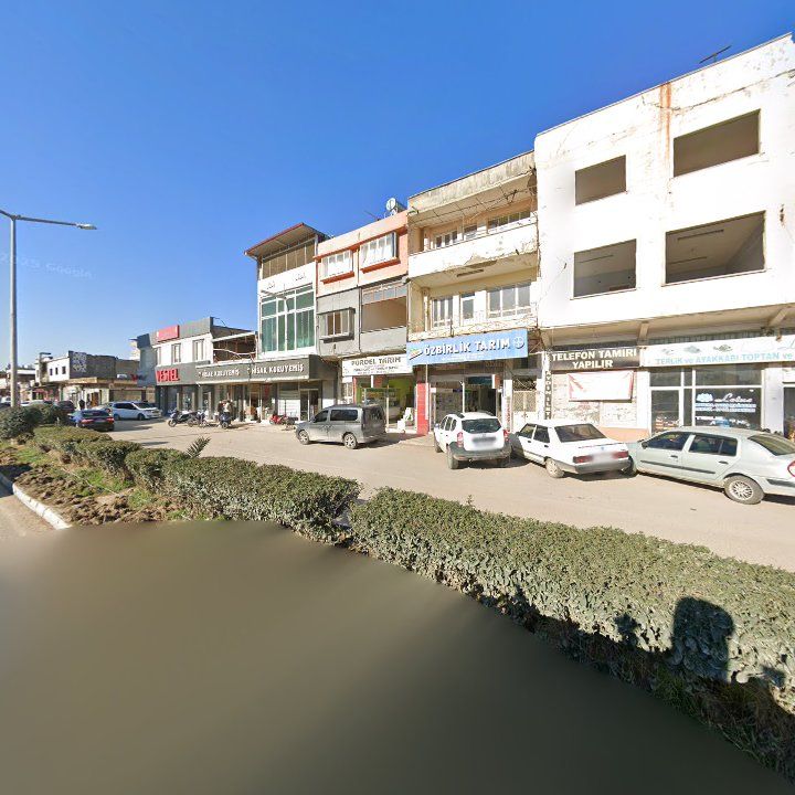 Fotoğraf 5