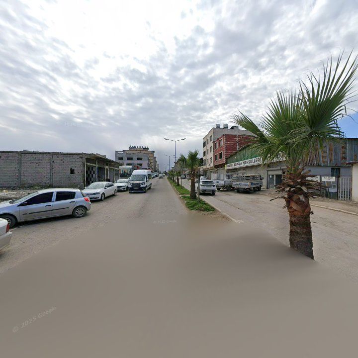 Fotoğraf 2