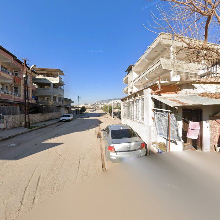Fotoğraf 5