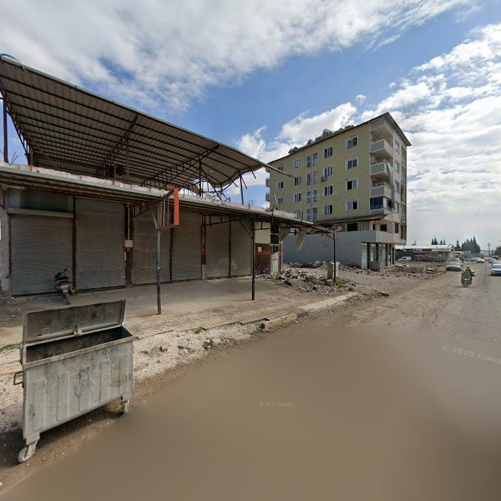 Fotoğraf 3