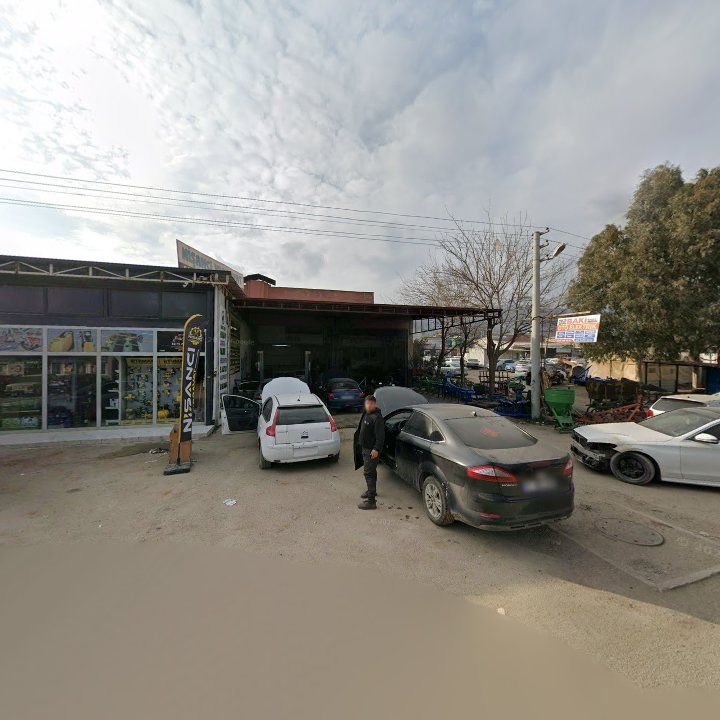 Fotoğraf 3