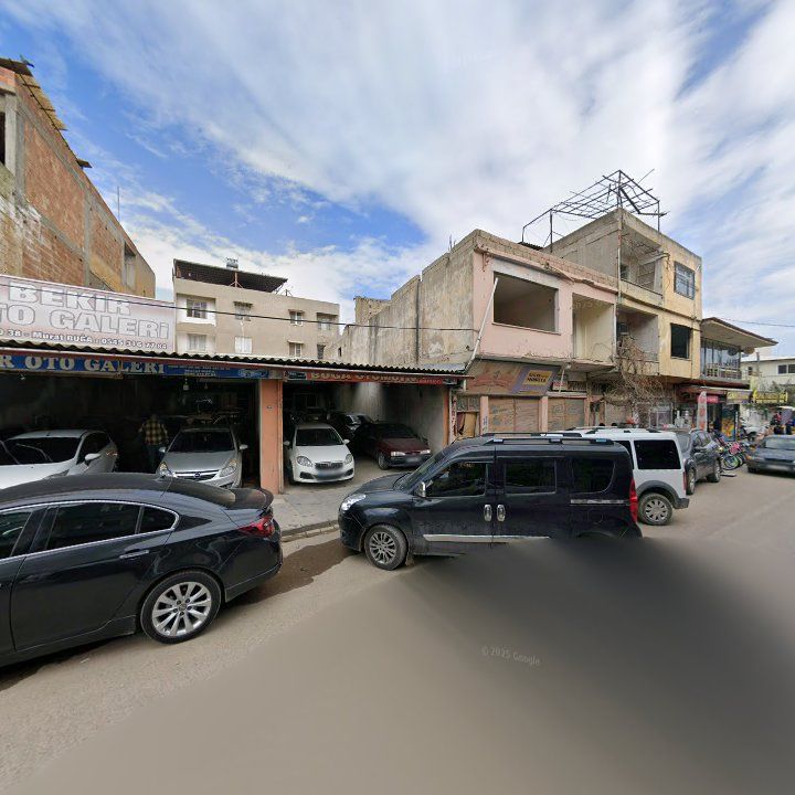 Fotoğraf 3