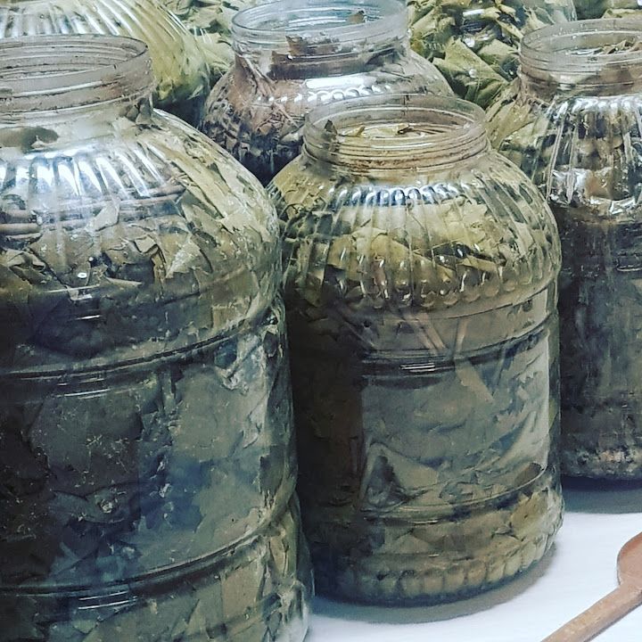 Fotoğraf 23