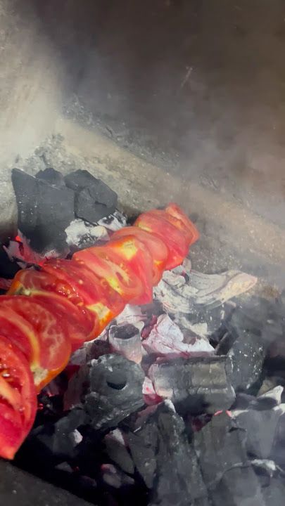 Fotoğraf 12