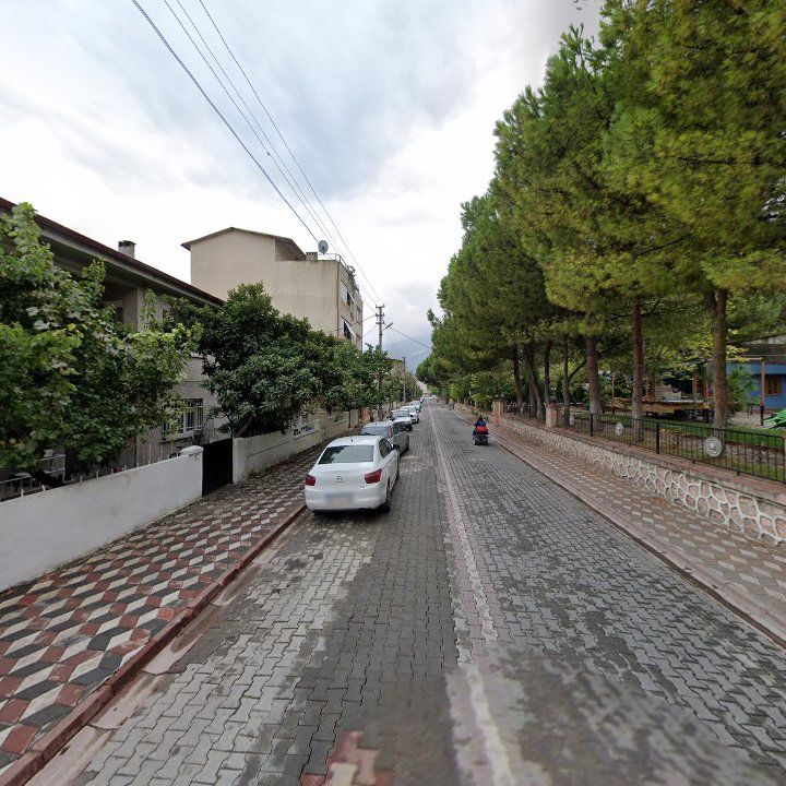 Fotoğraf 6