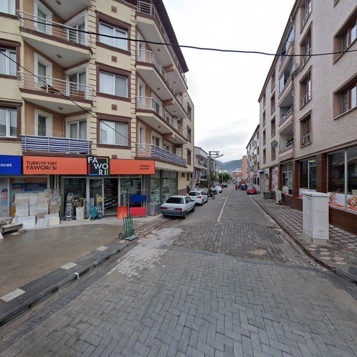 Fotoğraf 10