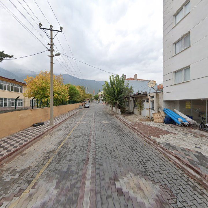 Fotoğraf 10