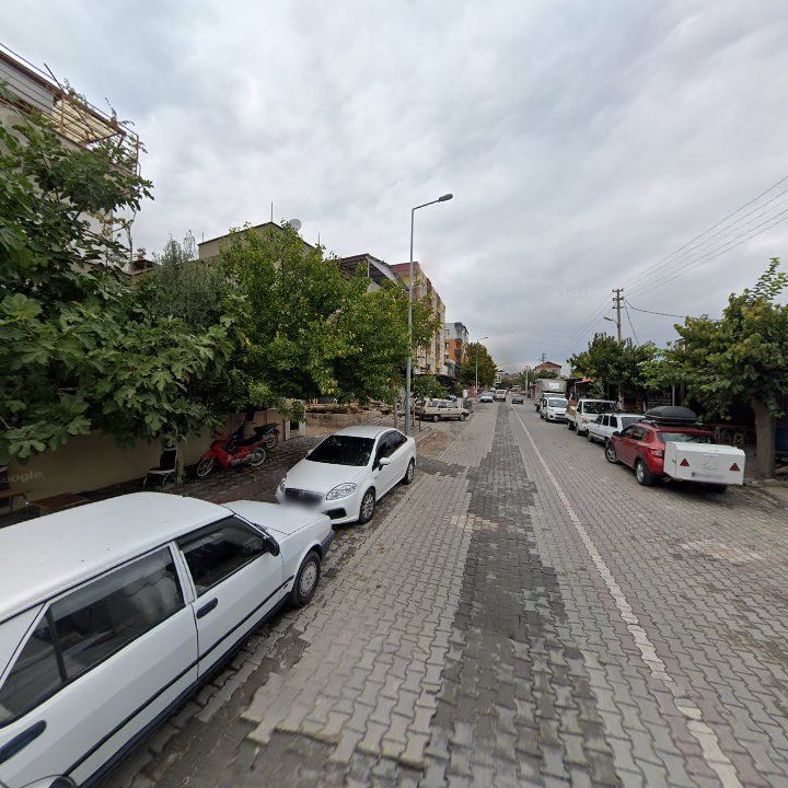 Fotoğraf 4