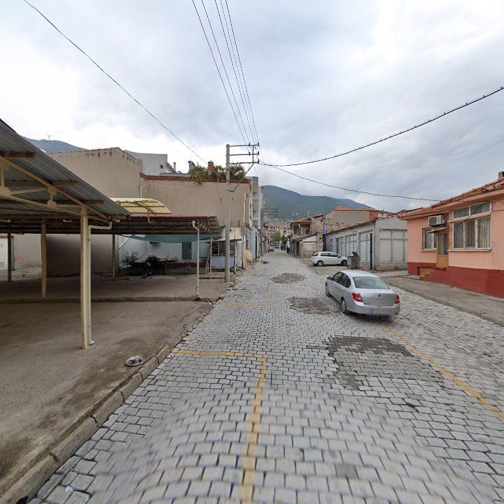 Fotoğraf 3