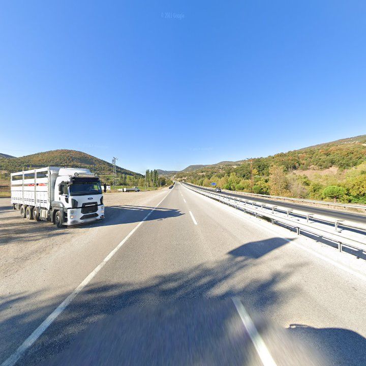 Fotoğraf 8