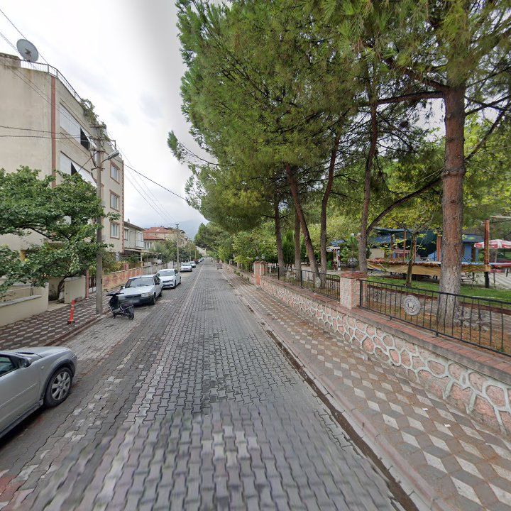Fotoğraf 7