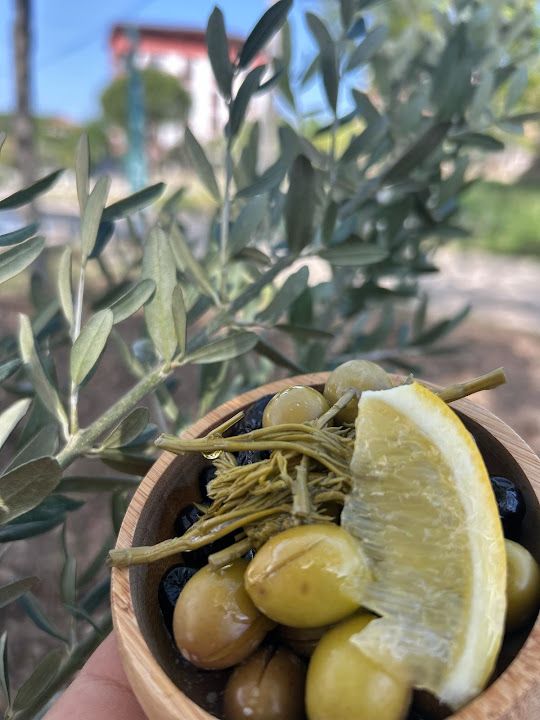 Fotoğraf 16