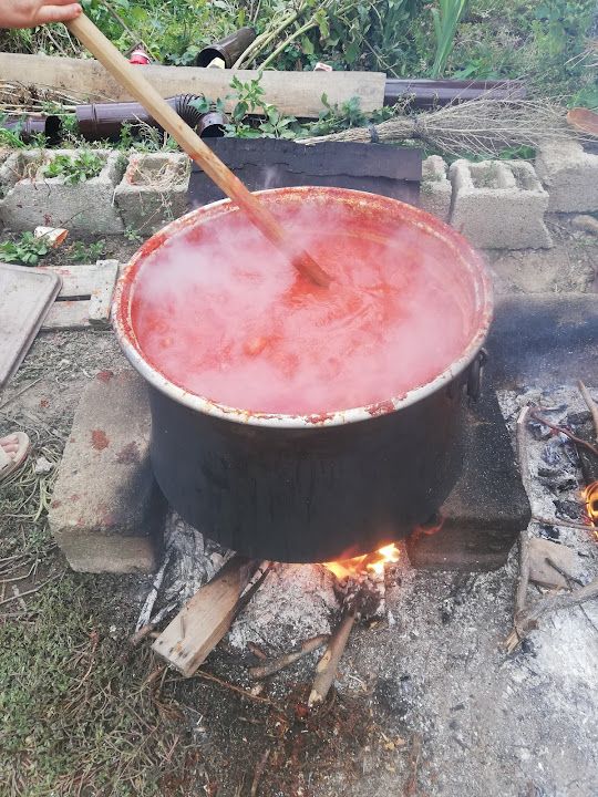 Fotoğraf 17