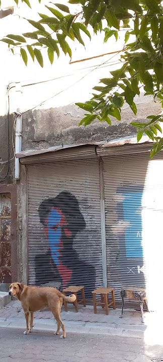 Fotoğraf 45