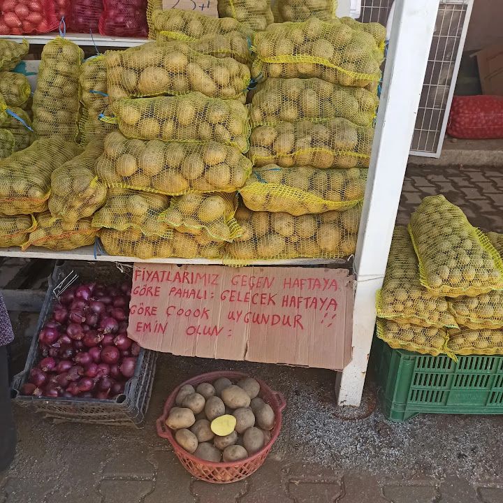 Fotoğraf 37