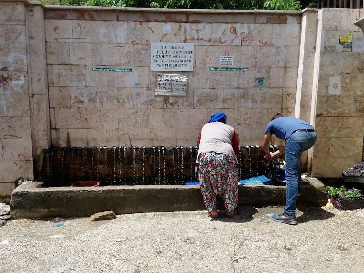Fotoğraf 25