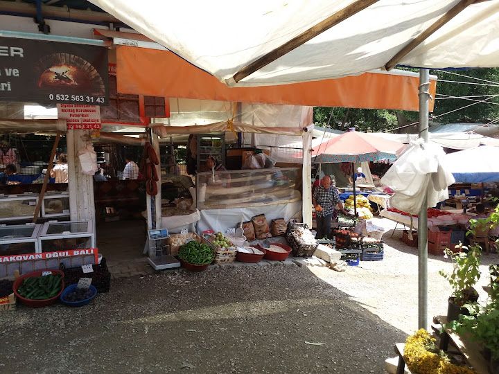 Fotoğraf 62