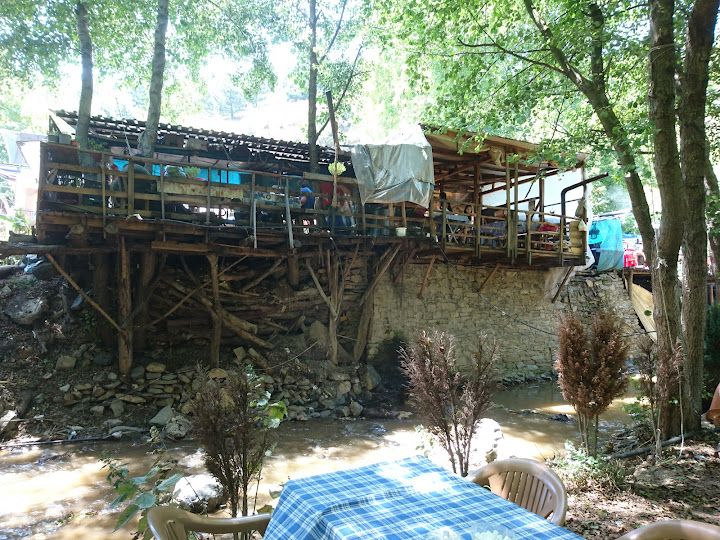 Fotoğraf 60