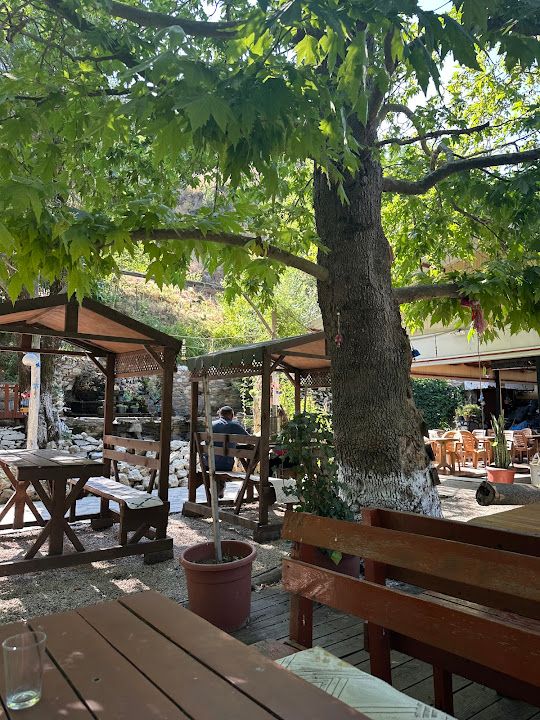 Fotoğraf 16