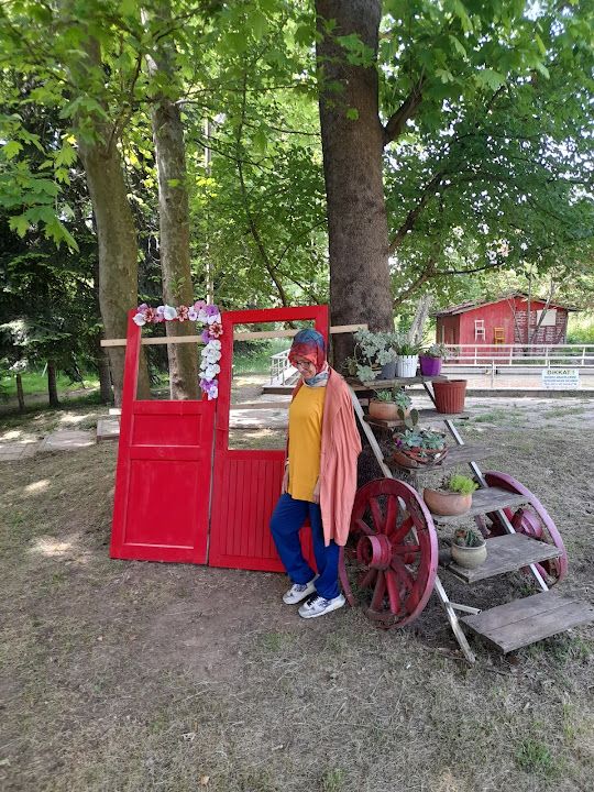 Yorum fotoğrafı 3