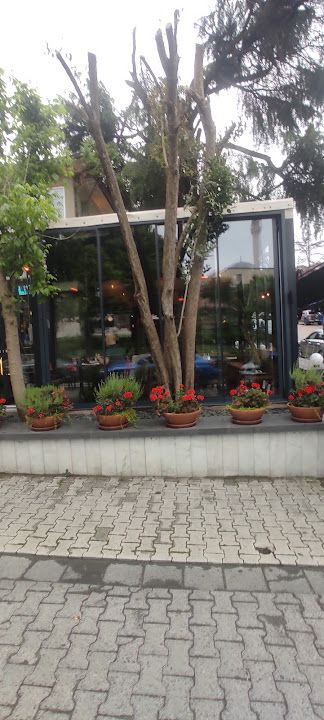 Fotoğraf 56