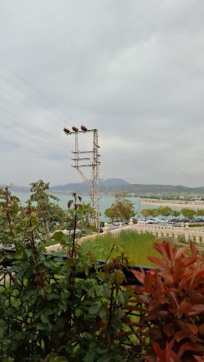 Fotoğraf 25