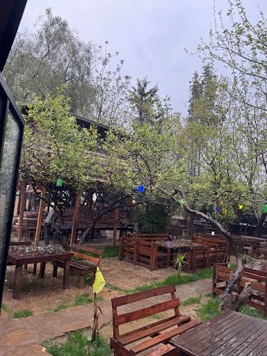 Yorum fotoğrafı 5
