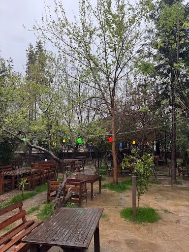 Yorum fotoğrafı 6