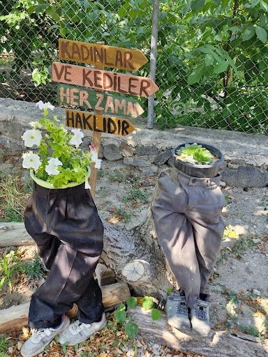 Yorum fotoğrafı 5