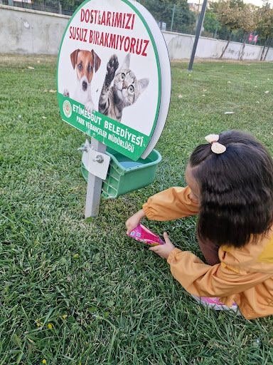 Yorum fotoğrafı 6