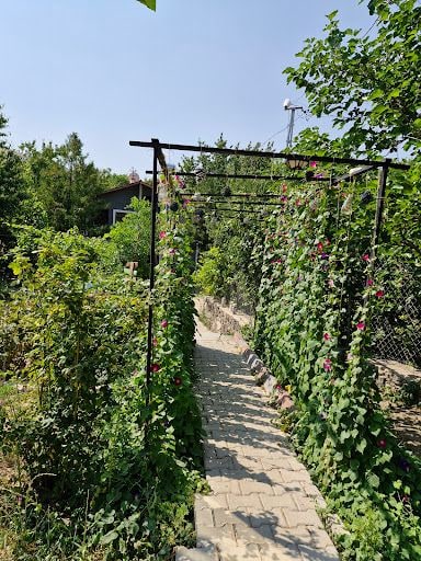 Yorum fotoğrafı 7