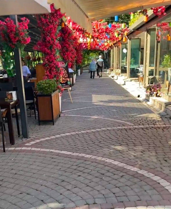 Fotoğraf 28