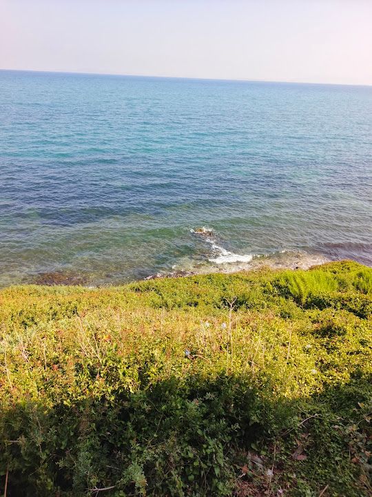 Yorum fotoğrafı 4