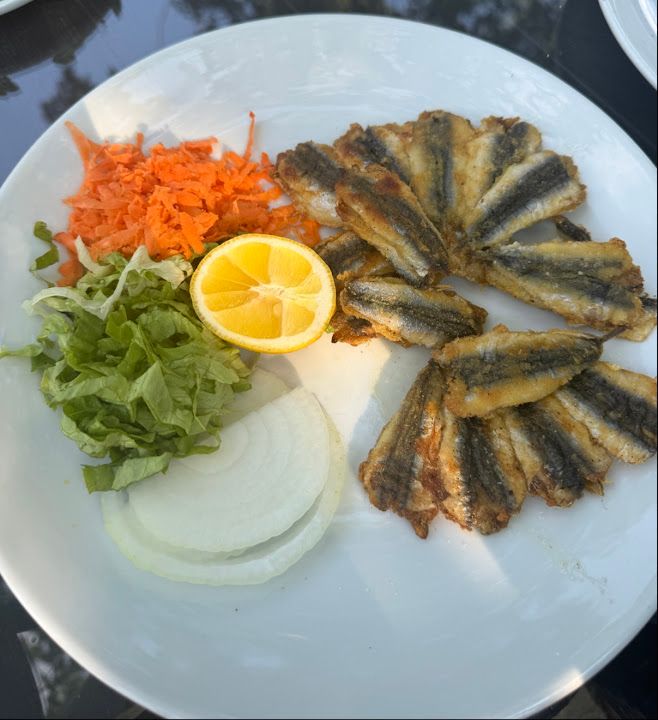 Yorum fotoğrafı 3