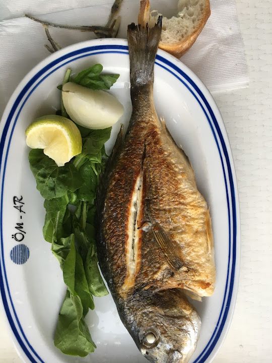 Fotoğraf 18
