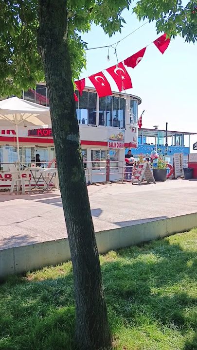 Fotoğraf 11