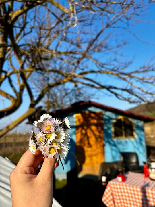 Yorum fotoğrafı 7