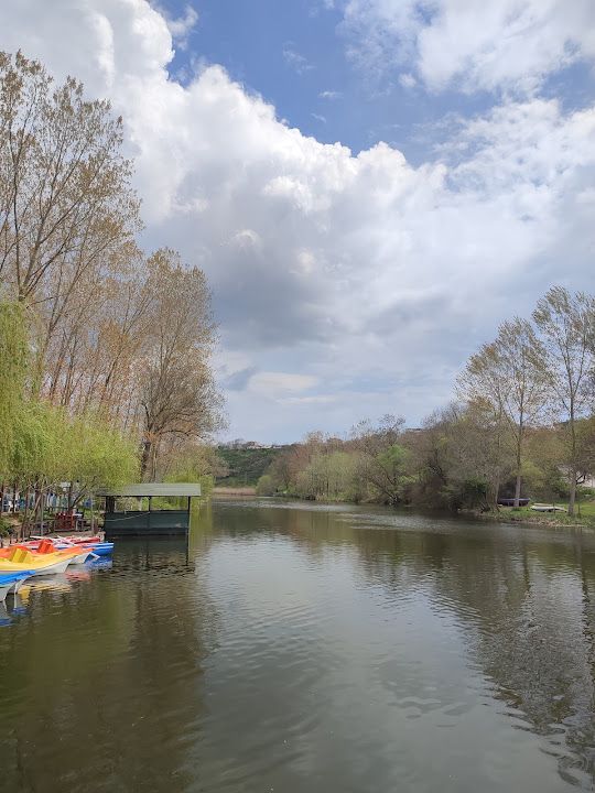 Yorum fotoğrafı 3