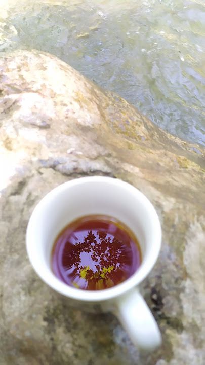 Fotoğraf 27